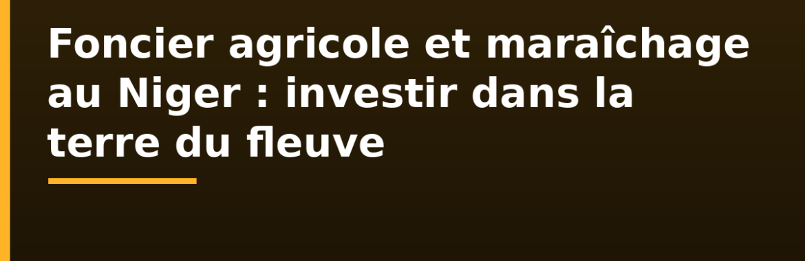 Foncier agricole et maraîchage au Niger : investir dans la terre le long du fleuve