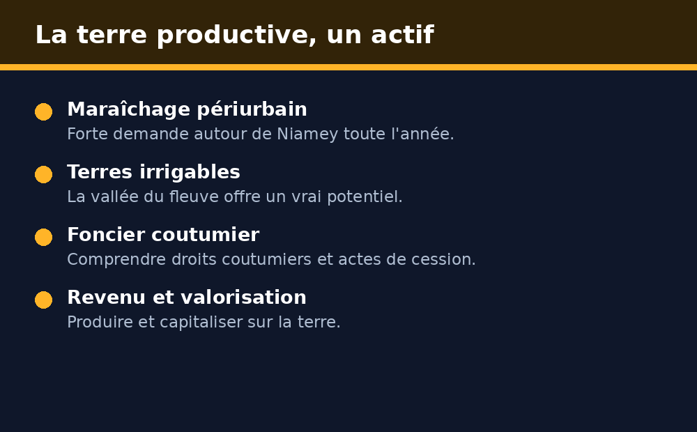 La terre productive comme actif au Niger : maraîchage périurbain et terres irrigables