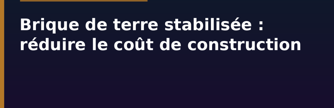 Brique de terre stabilisée au Niger : le matériau qui réduit vraiment le coût de construction