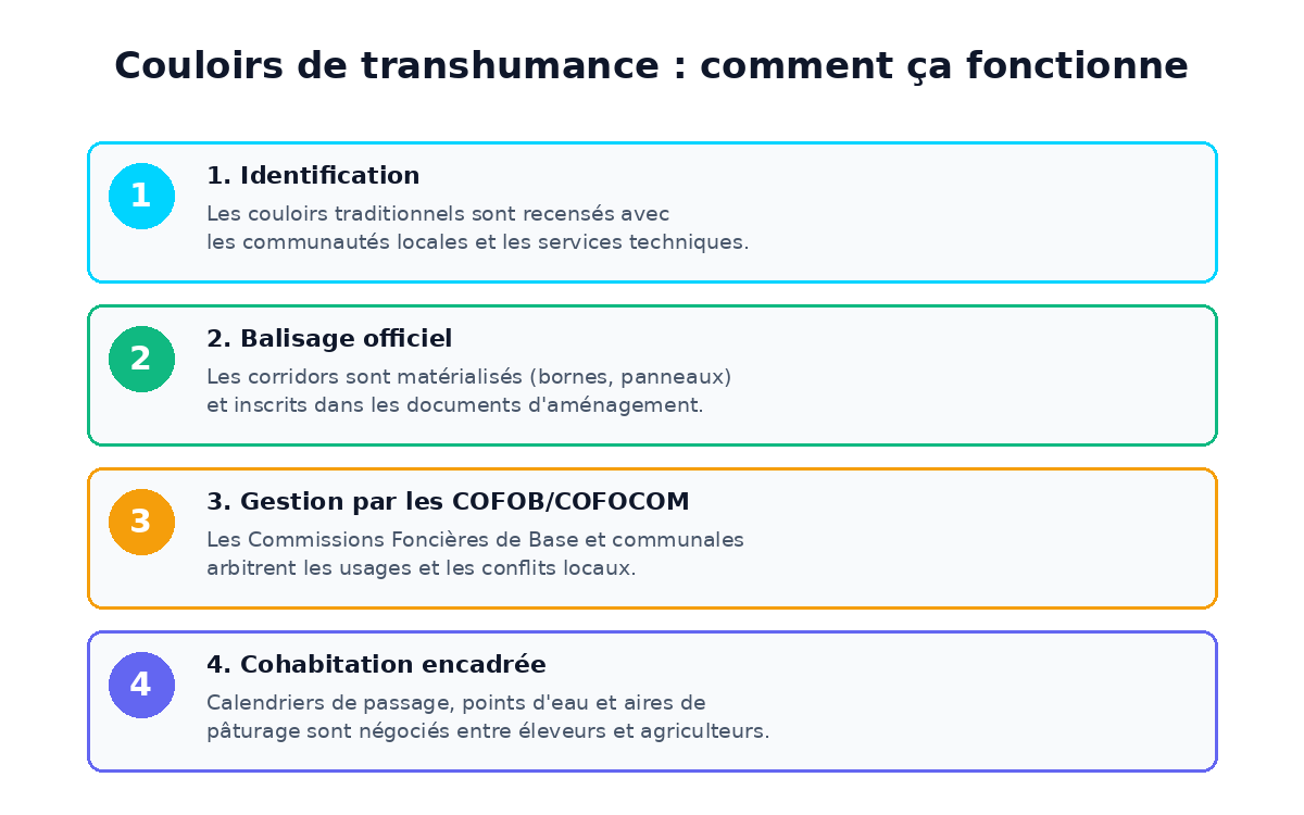 Comment fonctionnent les couloirs de transhumance au Niger : identification, balisage, COFOB, cohabitation