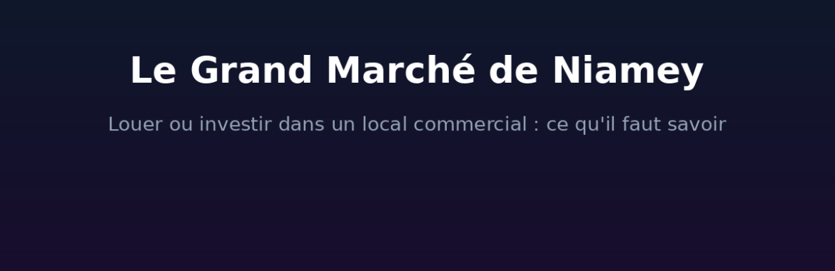 Le Grand Marché de Niamey : louer ou investir dans un local commercial, ce qu&rsquo;il faut savoir