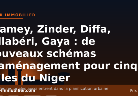 Niamey, Zinder, Diffa, Tillabéri, Gaya : de nouveaux schémas d&rsquo;aménagement pour cinq villes du Niger